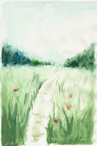 paysage-2.jpg