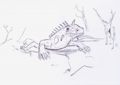 dragon.jpg